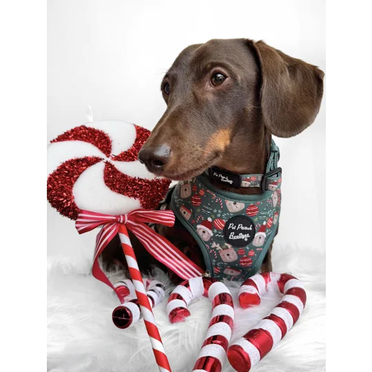 Jolly Bear Christmas Dog Collar