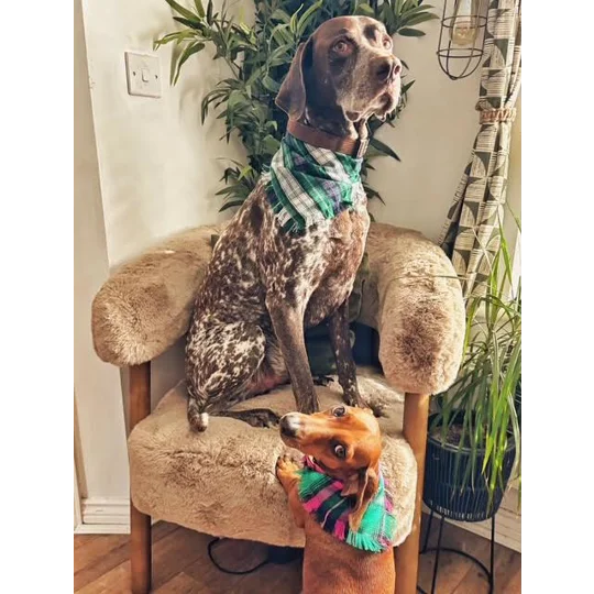 Forest Glen Frayed Plaid Bandana - Scamps