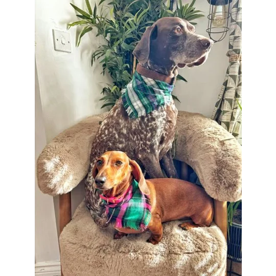 Forest Glen Frayed Plaid Bandana - Scamps