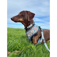 Shipwrecked Nautical Dog Lead - Reversible