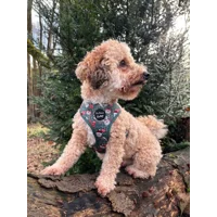 Jolly Bear Christmas Dog Harness