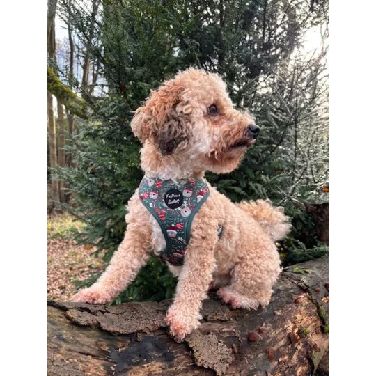 Jolly Bear Christmas Dog Harness