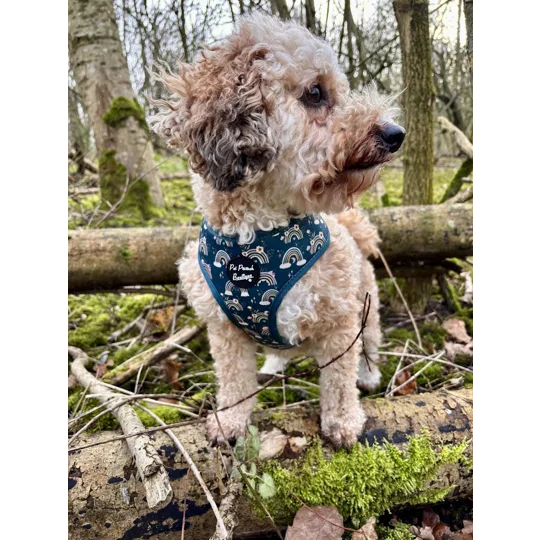 Rainbows In The Forest (Sea Green) Dog Harness