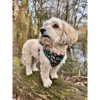 Vintage Clover Green Peonies Dog Harness