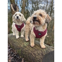 Burgundy Red Cord Dog Harness