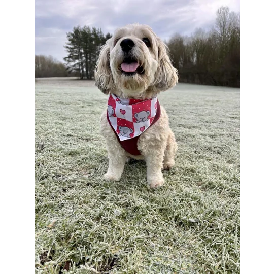 Pink Love Bug Bear Dog Bandana