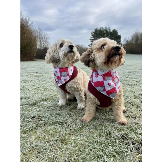 Pink Love Bug Bear Dog Bandana