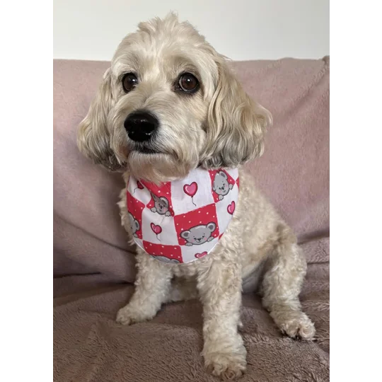 Pink Love Bug Bear Dog Bandana
