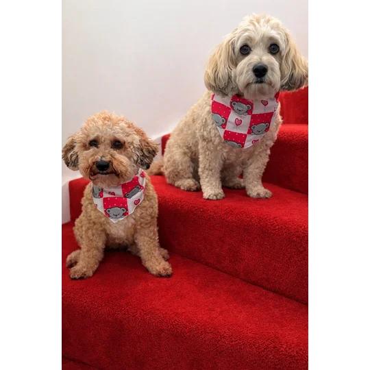 Pink Love Bug Bear Dog Bandana