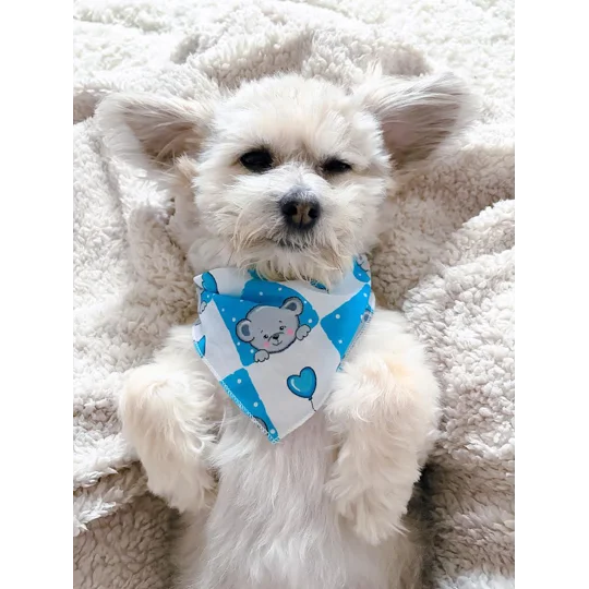 Blue Love Bug Bear Dog Bandana