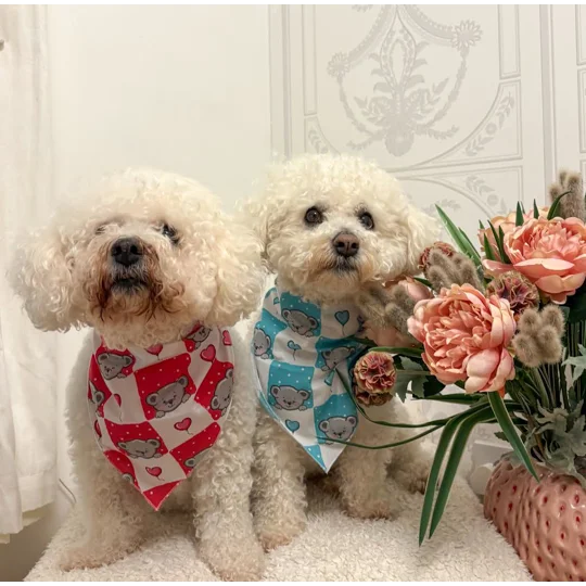 Pink Love Bug Bear Dog Bandana