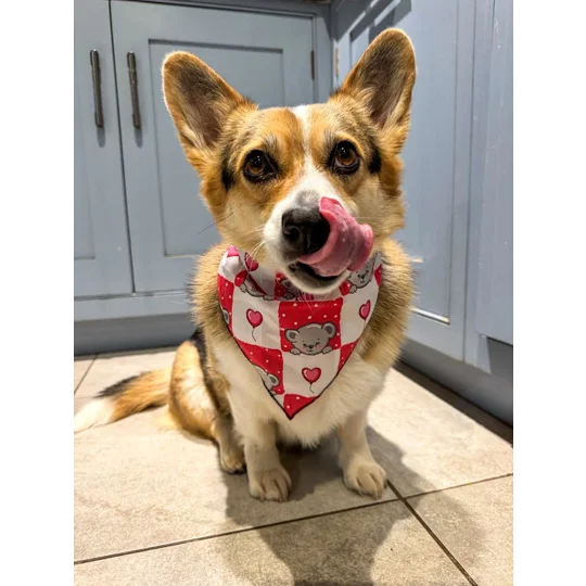 Pink Love Bug Bear Dog Bandana