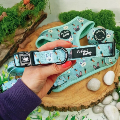 Mint Choc Chip Easter Bunny Dog Collar