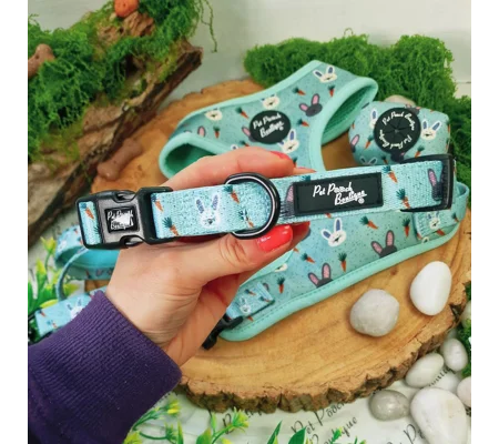Mint Choc Chip Easter Bunny Dog Collar