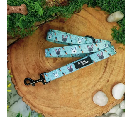 Mint Choc Chip Easter Bunny Lead - Reversible