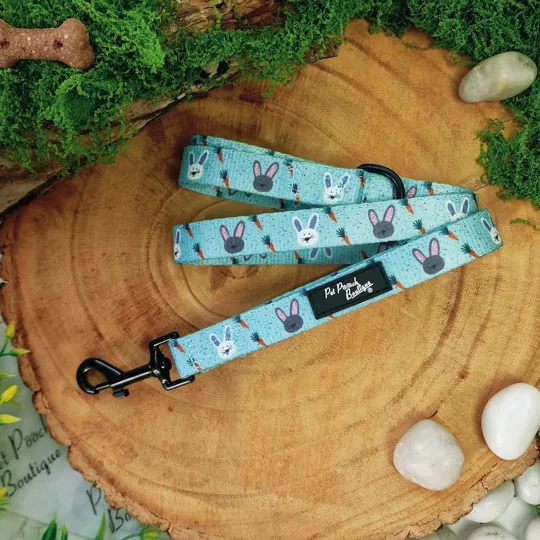 Mint Choc Chip Easter Bunny Lead - Reversible