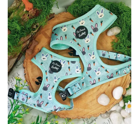 Mint Choc Chip Easter Bunny Harness