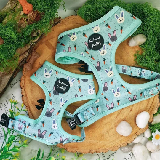 Mint Choc Chip Easter Bunny Harness