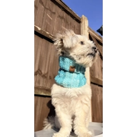 Blue Ombre Roll Top Dog Snood