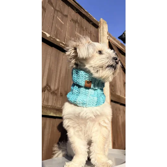 Blue Ombre Roll Top Dog Snood