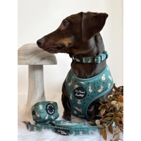 Wild Meadow Bunny Dog Collar