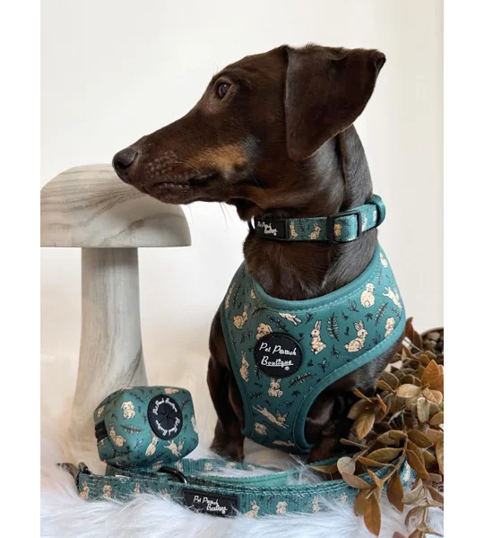 Wild Meadow Bunny Dog Collar