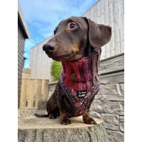 Woodland Hedgehog Dog Harness