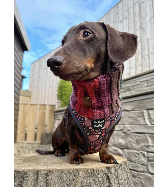 Woodland Hedgehog Dog Harness
