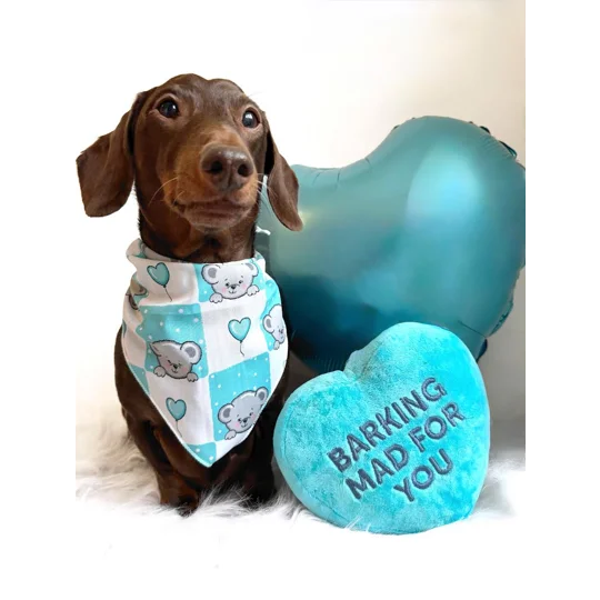 Blue Love Bug Bear Dog Bandana