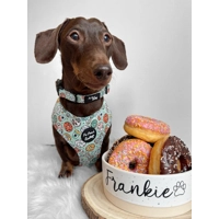 Iced Doughnuts & Coffee Dog Harness