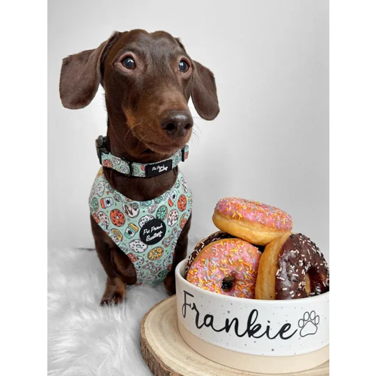 Iced Doughnuts & Coffee Dog Collar