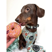 Iced Doughnuts & Coffee Dog Collar