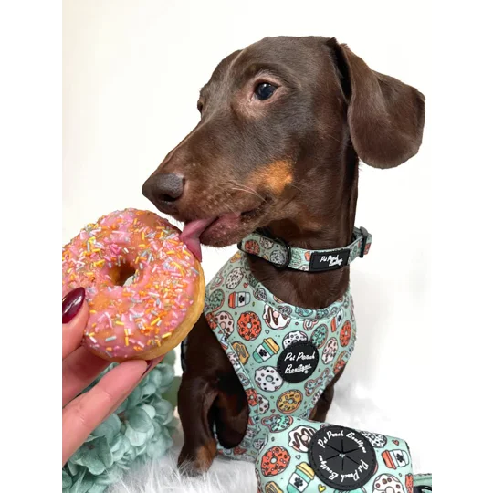 Iced Doughnuts & Coffee Dog Collar