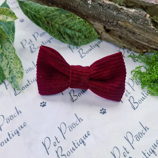 Cord Block Colour Dog Bow Tie