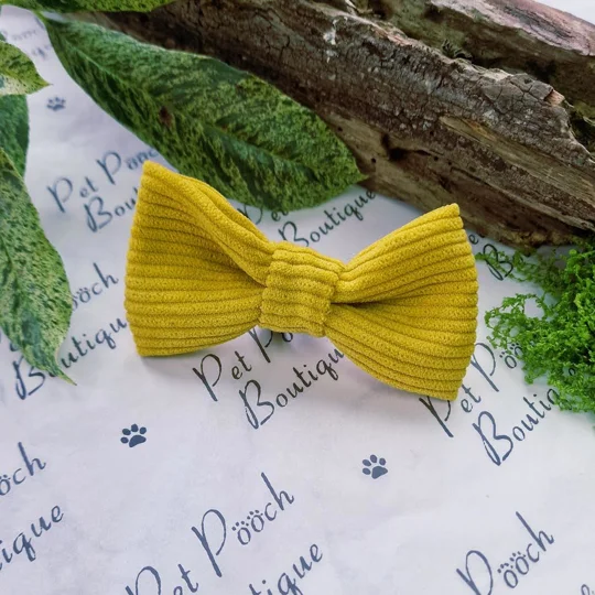 Cord Block Colour Dog Bow Tie