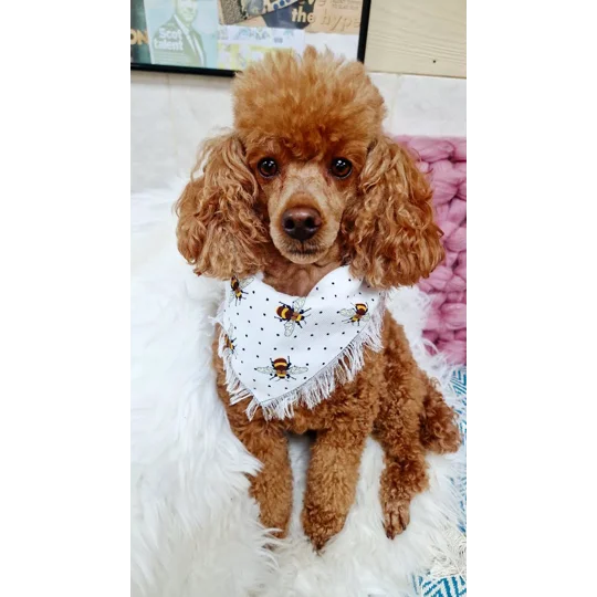 Classic Cream Frayed Bumble Bee Bandana - Scamps