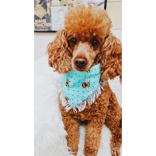 Bright Blue Frayed Bumble Bee Bandana - Scamps