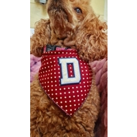 Olde English PERSONALISED Red Polka Dot Dog Bandana
