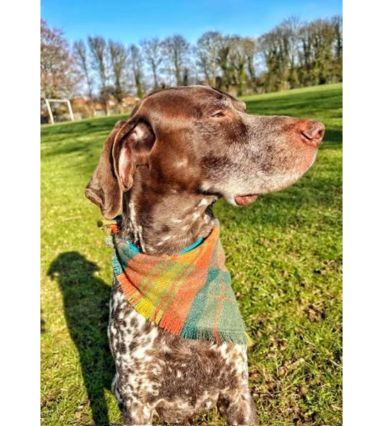 Frayed Orange Willow Plaid Bandana - Scamps