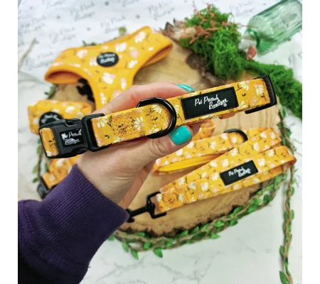 Sunshine Daisy Dog Collar- Optional Flower Accessory