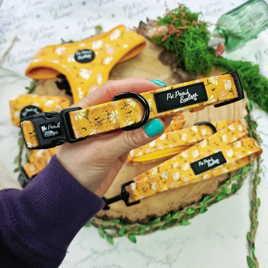Sunshine Daisy Dog Collar- Optional Flower Accessory