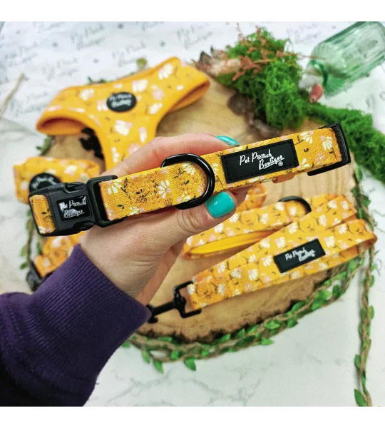 Sunshine Daisy Dog Collar- Optional Flower Accessory