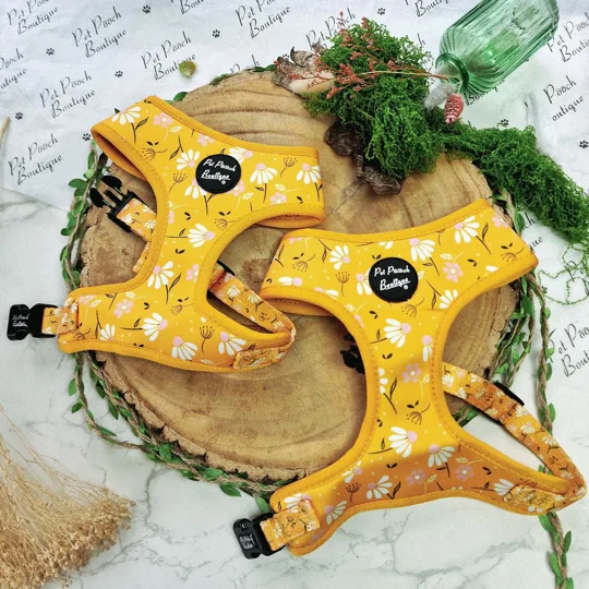 Sunshine Daisy Dog Harness - optional flower accessory