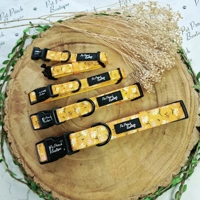 Sunshine Daisy Dog Collar- Optional Flower Accessory