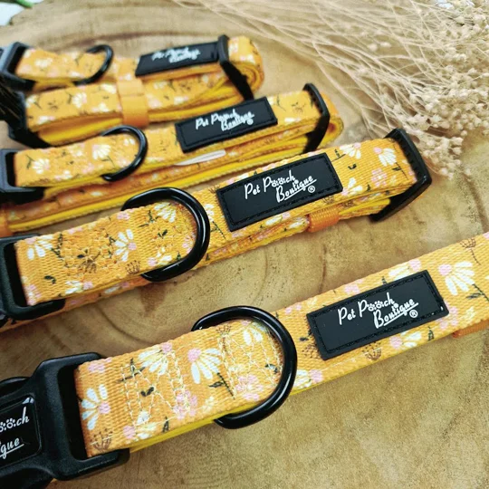 Sunshine Daisy Dog Collar- Optional Flower Accessory