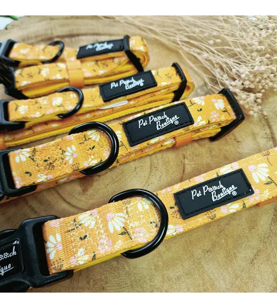Sunshine Daisy Dog Collar- Optional Flower Accessory