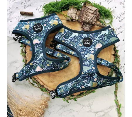 Dino Rawr Dog Harness - optional bow tie accessory