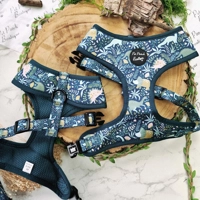 Dino Rawr Dog Harness  - optional bow tie accessory