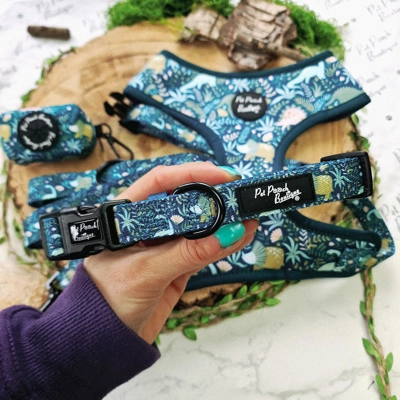 Dino Rawr Dog Collar