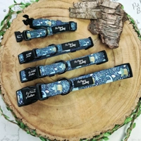 Dino Rawr Dog Collar